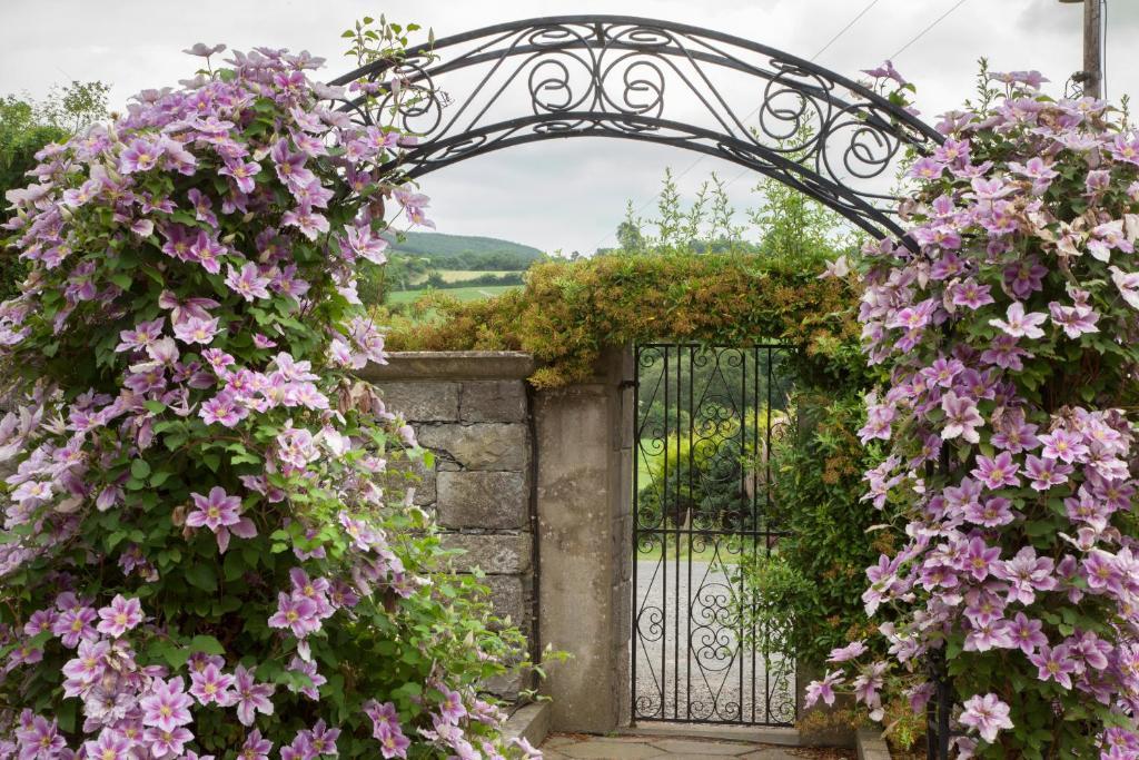 Glasha Farmhouse Ballymacarbry Exterior photo
