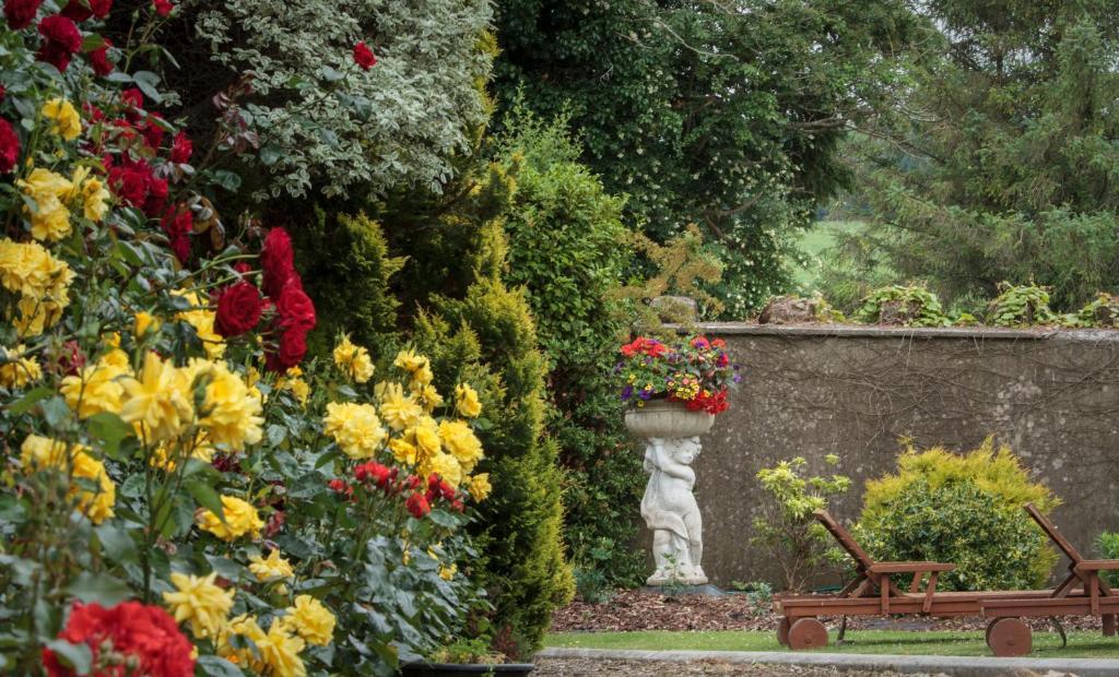Glasha Farmhouse Ballymacarbry Exterior photo